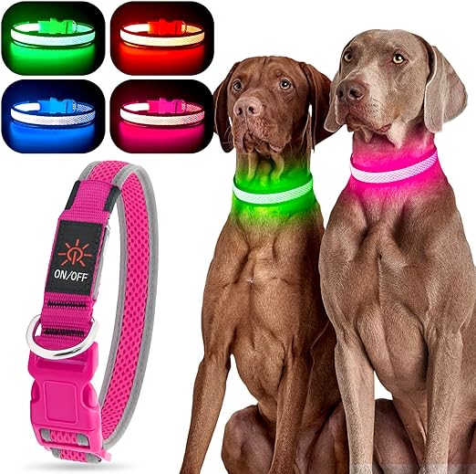 LED Dog Collar Rechargeable - Light Up Safety Collar for Night Walking | Waterproof Glowing Dog Collar with Adjustable Nylon Strap | Visible from 500ft for Small Medium Large Dogs