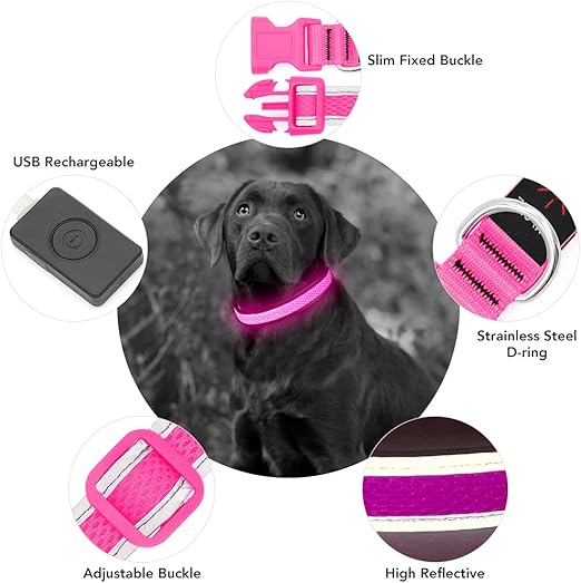 LED Dog Collar Rechargeable - Light Up Safety Collar for Night Walking | Waterproof Glowing Dog Collar with Adjustable Nylon Strap | Visible from 500ft for Small Medium Large Dogs