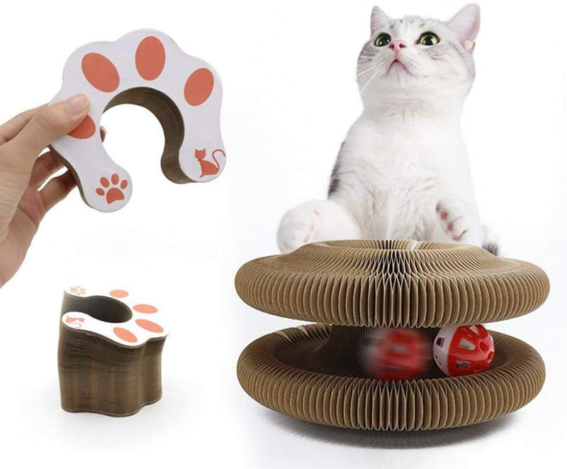 Cat Scratching Board