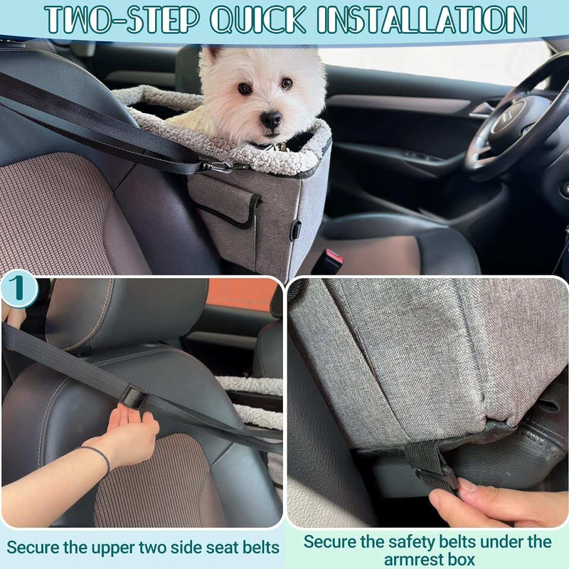 car dog seat