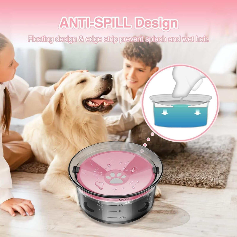 Transparent dog bowl