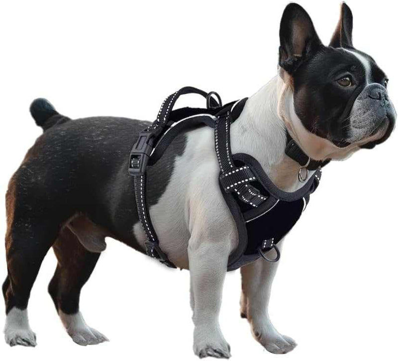 No Pull Dog Harness
