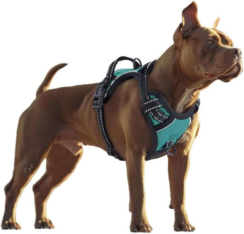 No Pull Dog Harness