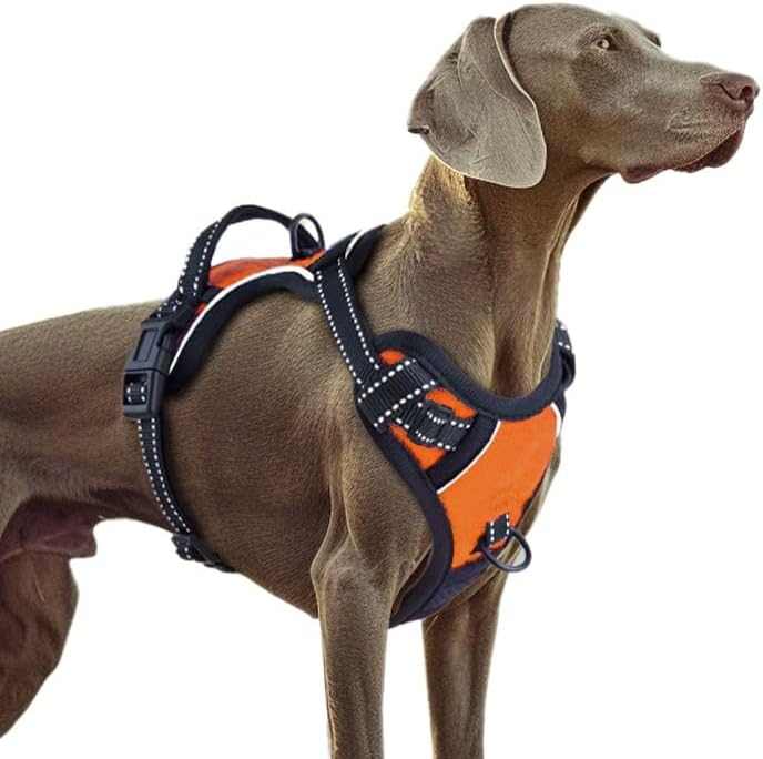 No Pull Dog Harness