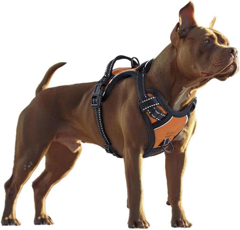 No Pull Dog Harness
