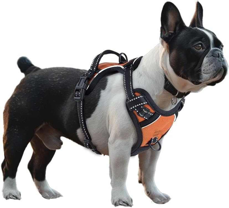 No Pull Dog Harness