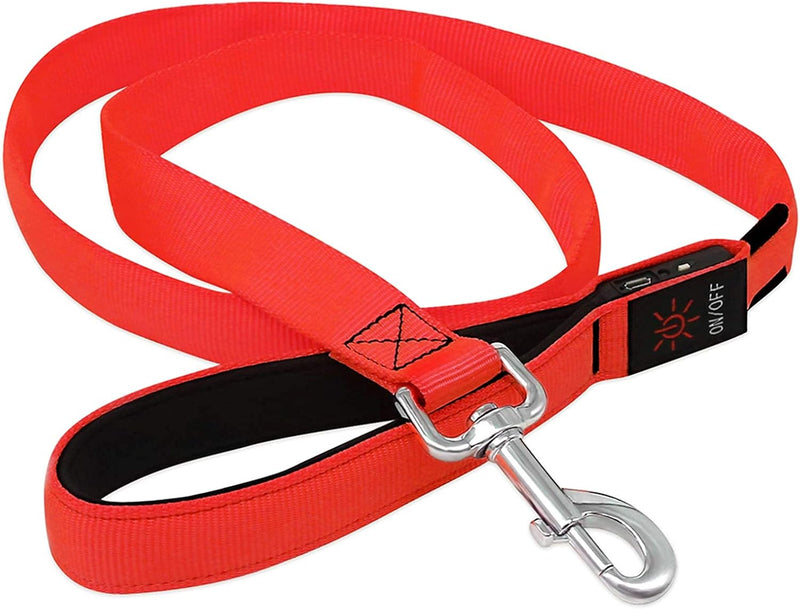 LED Dog Leash - Rechargeable Light Up Safety Leash for Night Walking | 4ft Reflective Dog Lead with USB Charging | Visible Glow Leash for Small Medium Large Dogs