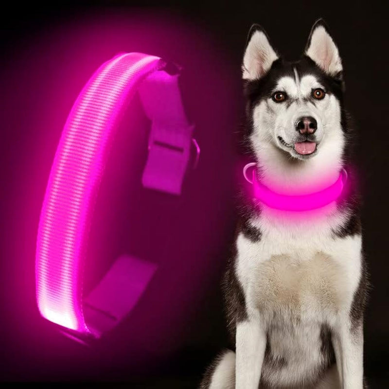 LED Dog Collar Rechargeable - Light Up Safety Collar for Night Walking | Waterproof Glowing Dog Collar with Adjustable Nylon Strap | Visible from 500ft for Small Medium Large Dogs