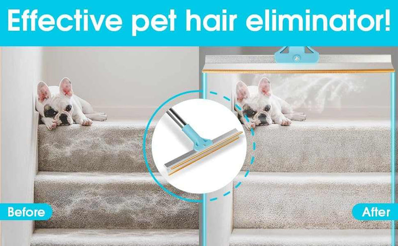 Pet Hair Removal