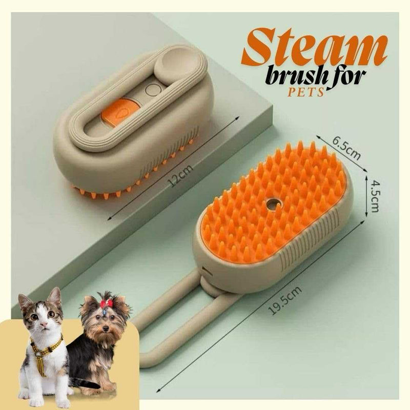 Steam Pet Brush