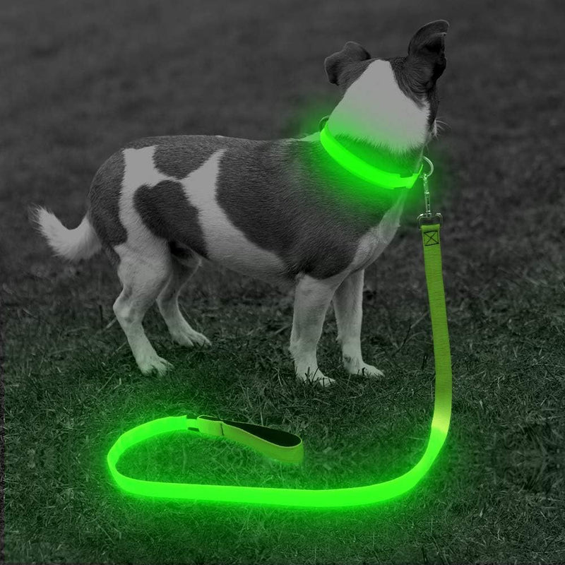 LED Dog Leash - Rechargeable Light Up Safety Leash for Night Walking | 4ft Reflective Dog Lead with USB Charging | Visible Glow Leash for Small Medium Large Dogs