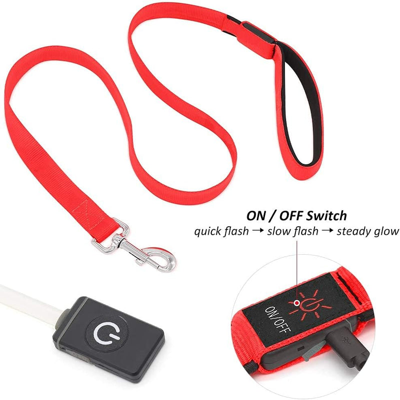 LED Dog Leash - Rechargeable Light Up Safety Leash for Night Walking | 4ft Reflective Dog Lead with USB Charging | Visible Glow Leash for Small Medium Large Dogs