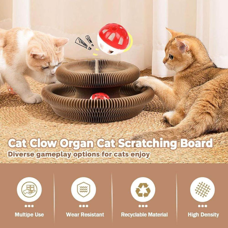 Cat Scratching Board
