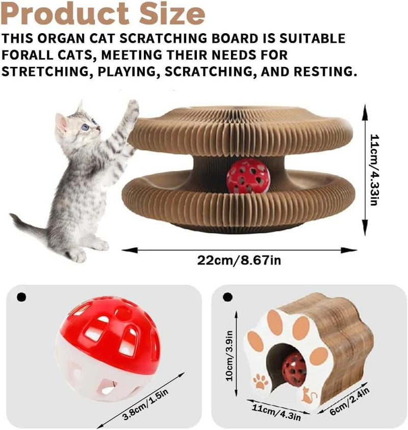 Cat Scratching Board