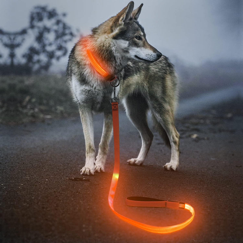 LED Dog Leash - Rechargeable Light Up Safety Leash for Night Walking | 4ft Reflective Dog Lead with USB Charging | Visible Glow Leash for Small Medium Large Dogs