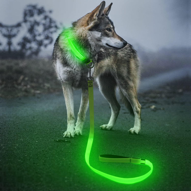 LED Dog Leash - Rechargeable Light Up Safety Leash for Night Walking | 4ft Reflective Dog Lead with USB Charging | Visible Glow Leash for Small Medium Large Dogs