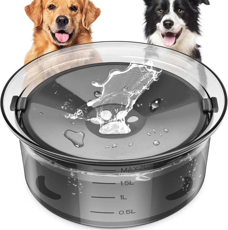 Transparent dog bowl