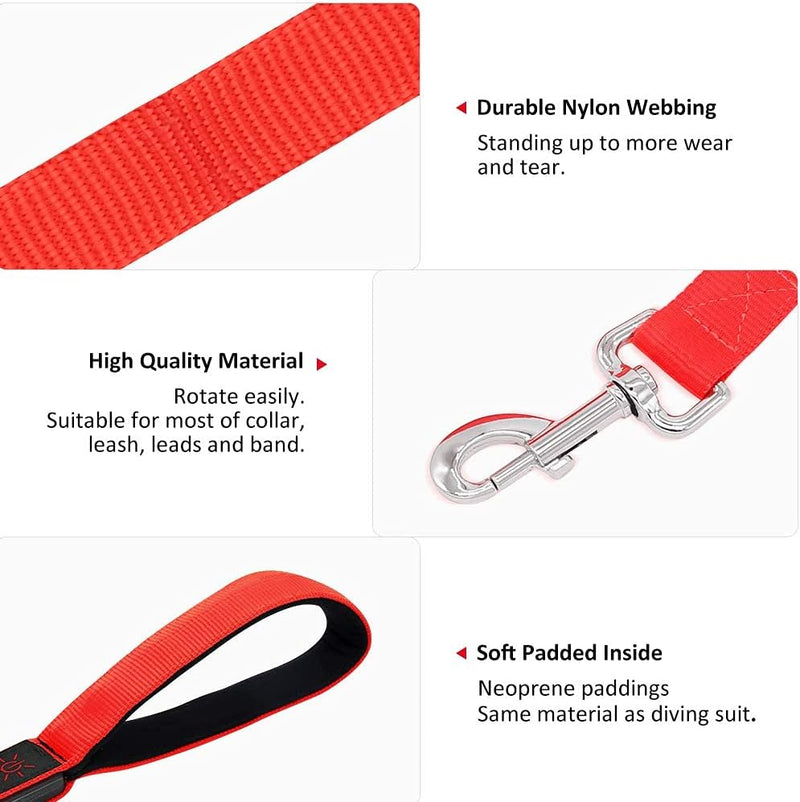 LED Dog Leash - Rechargeable Light Up Safety Leash for Night Walking | 4ft Reflective Dog Lead with USB Charging | Visible Glow Leash for Small Medium Large Dogs