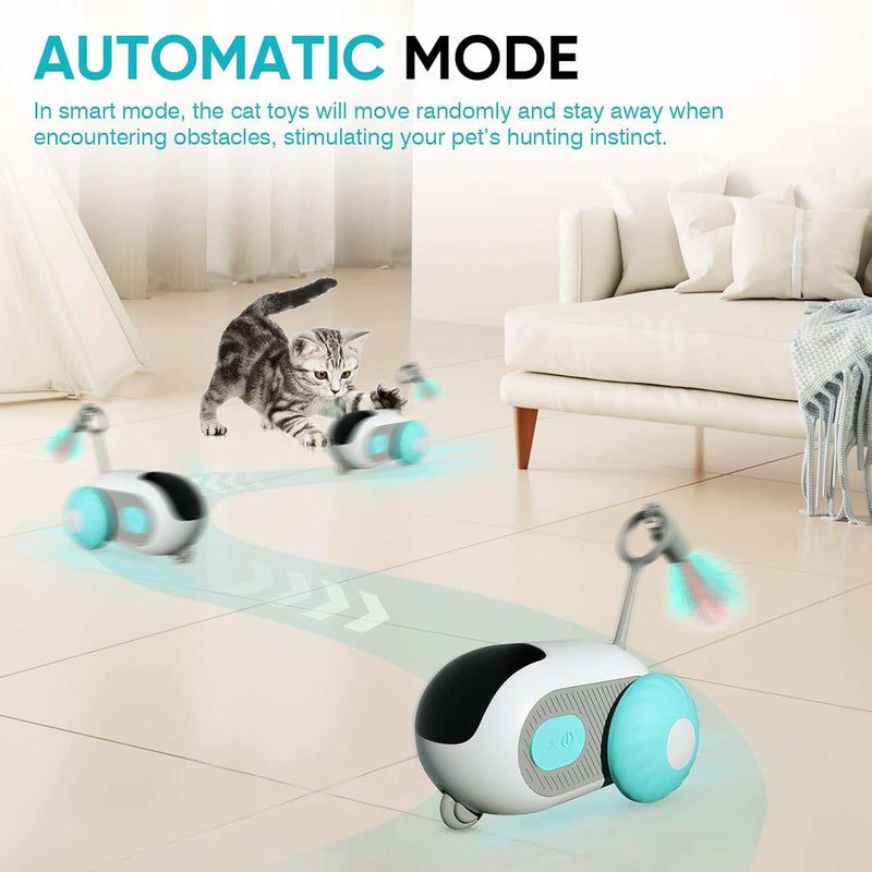 Intelligent Sports Car