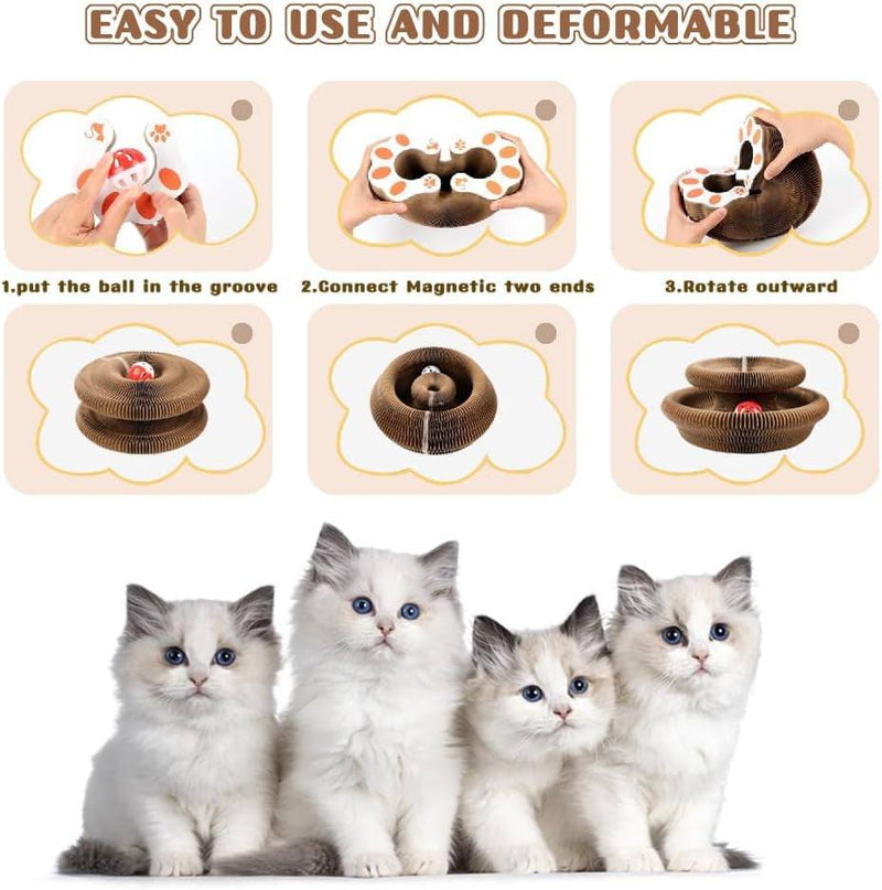 Cat Scratching Board