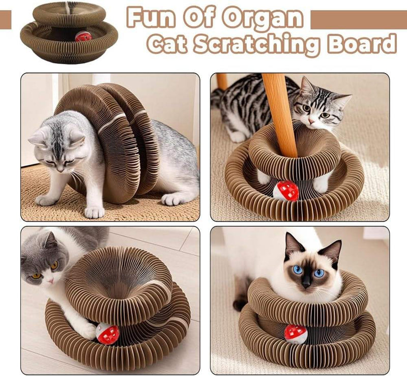 Cat Scratching Board