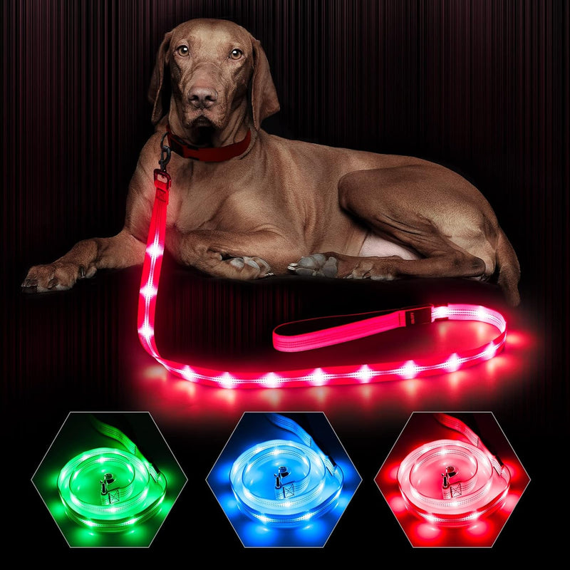 LED Dog Leash - Rechargeable Light Up Safety Leash for Night Walking | 4ft Reflective Dog Lead with USB Charging | Visible Glow Leash for Small Medium Large Dogs