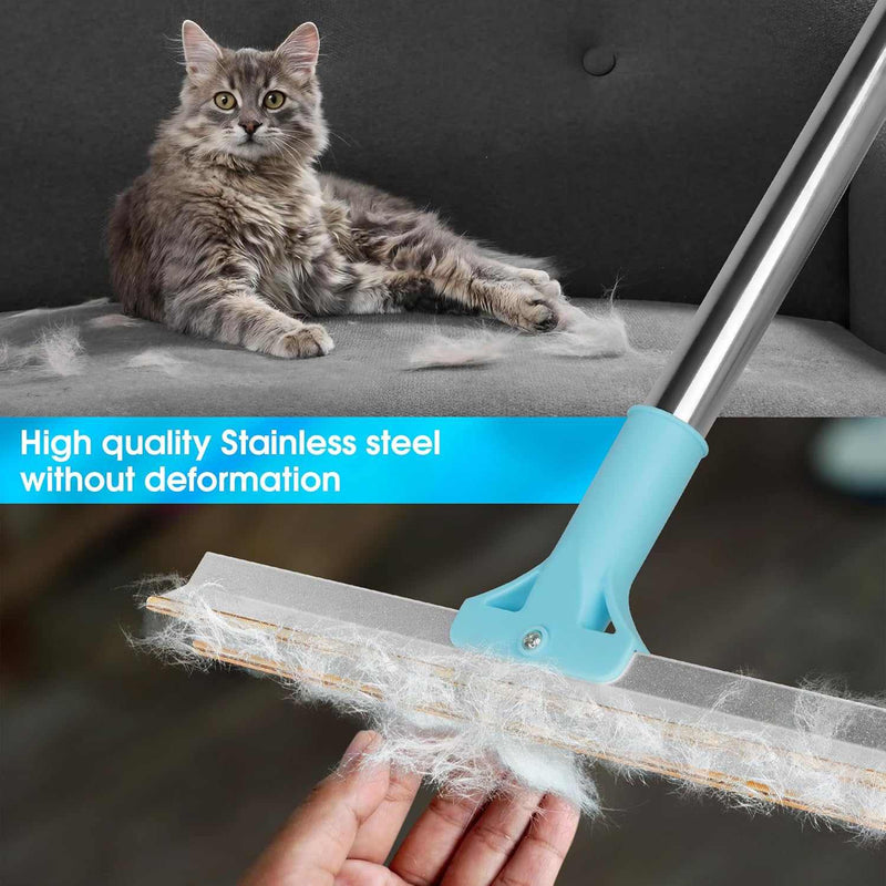 Pet Hair Removal