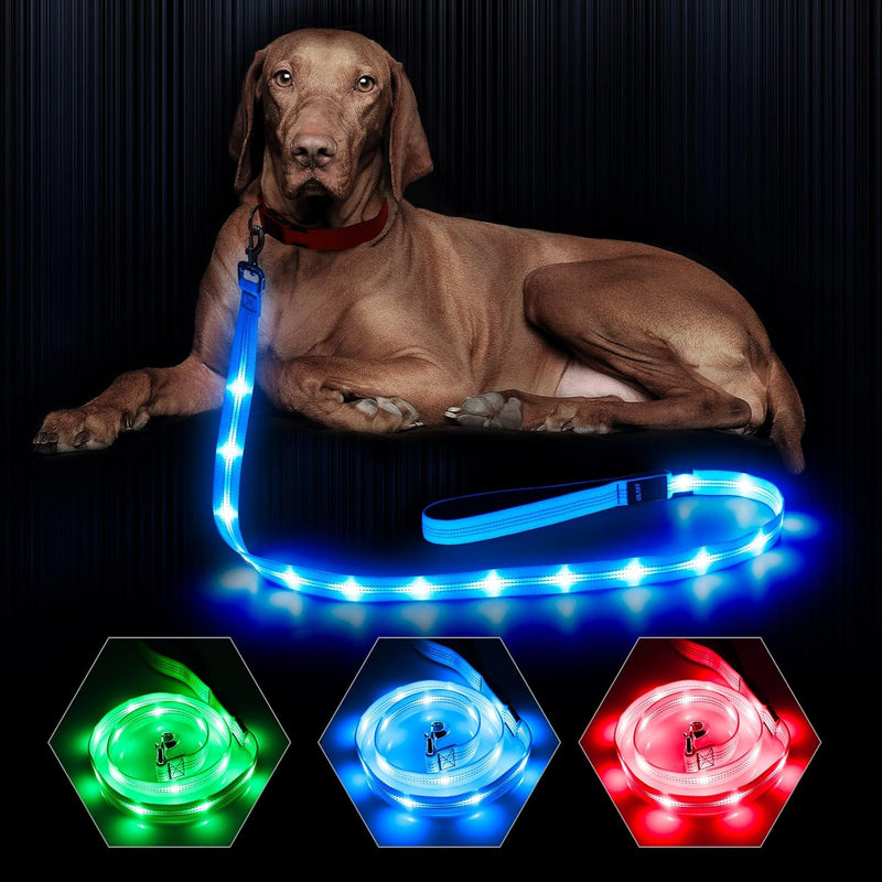 LED Dog Leash - Rechargeable Light Up Safety Leash for Night Walking | 4ft Reflective Dog Lead with USB Charging | Visible Glow Leash for Small Medium Large Dogs
