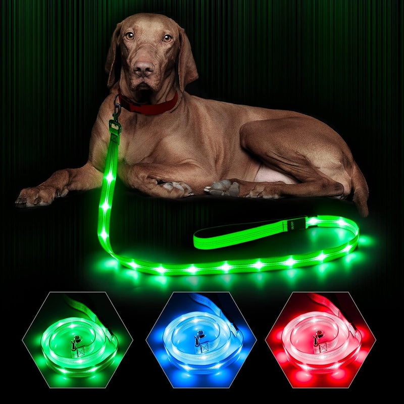 LED Dog Leash - Rechargeable Light Up Safety Leash for Night Walking | 4ft Reflective Dog Lead with USB Charging | Visible Glow Leash for Small Medium Large Dogs