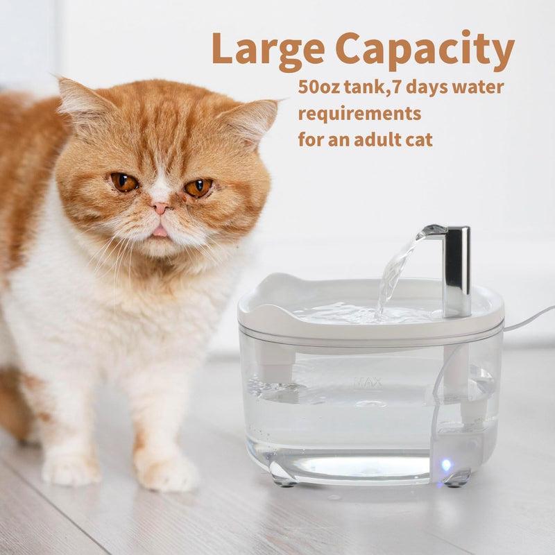 Cat Water Fountain - Silent Automatic Pet Water Dispenser | Clear Plastic Cat Drinking Fountain with Quiet Pump | Fresh Flowing Water for Cats & Small Dogs