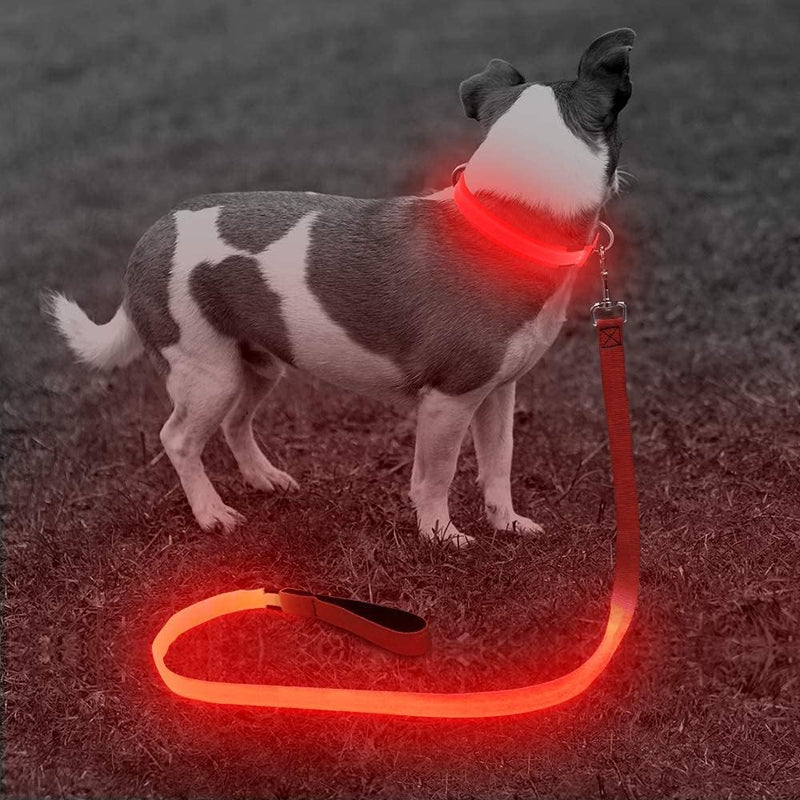 LED Dog Leash - Rechargeable Light Up Safety Leash for Night Walking | 4ft Reflective Dog Lead with USB Charging | Visible Glow Leash for Small Medium Large Dogs