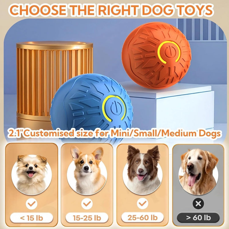 Interactive Dog Ball Toy - Smart Bounce Ball with Unpredictable Movement | Automatic Rolling Ball for Bored Dogs | USB Rechargeable Pet Exercise Toy