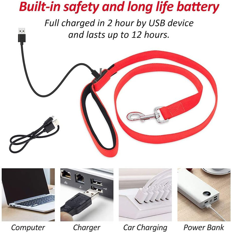 LED Dog Leash - Rechargeable Light Up Safety Leash for Night Walking | 4ft Reflective Dog Lead with USB Charging | Visible Glow Leash for Small Medium Large Dogs