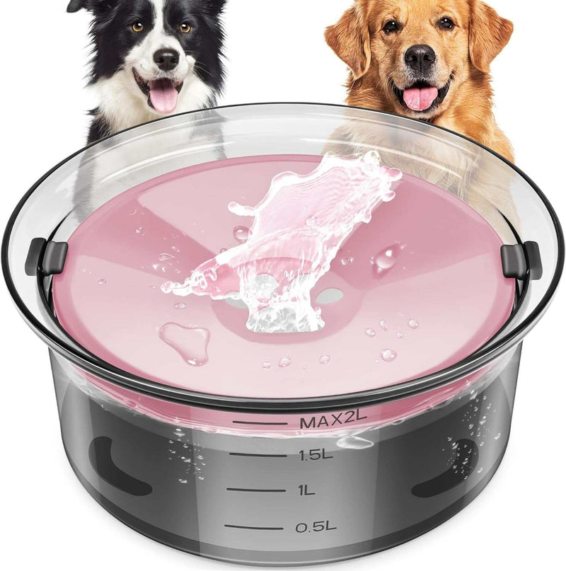 Transparent dog bowl