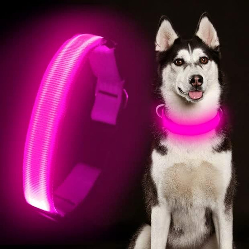 LED Dog Collar Rechargeable - Light Up Safety Collar for Night Walking | Waterproof Glowing Dog Collar with Adjustable Nylon Strap | Visible from 500ft for Small Medium Large Dogs