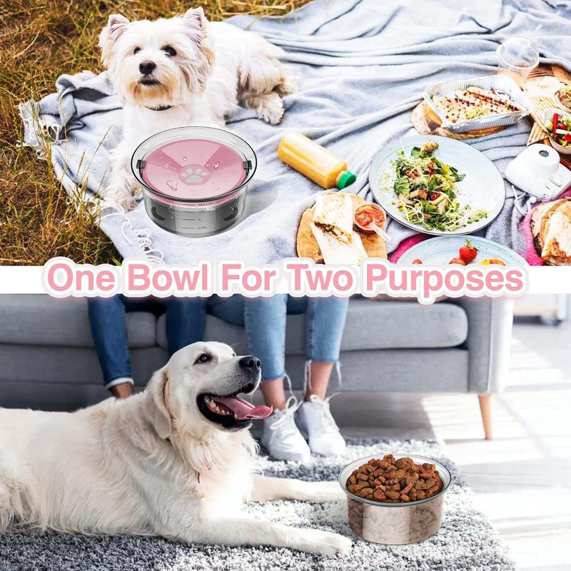 Transparent dog bowl