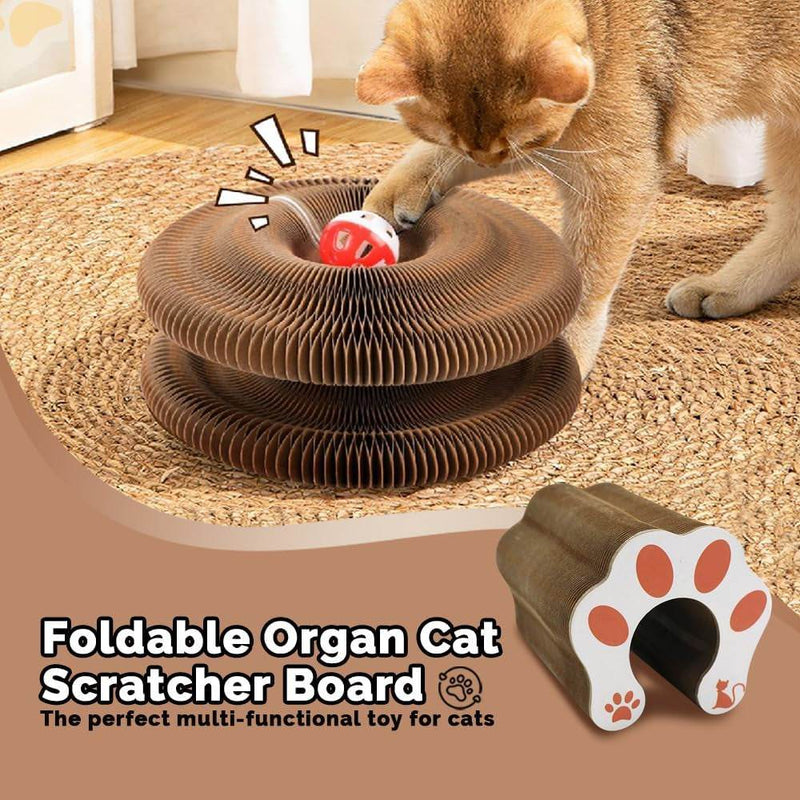 Cat Scratching Board