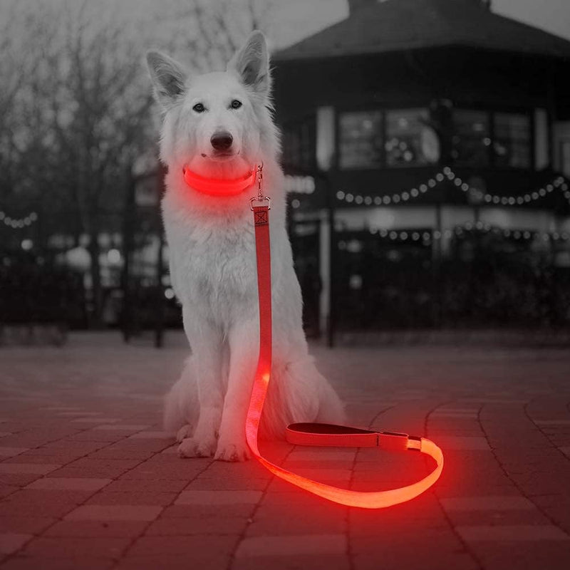 LED Dog Leash - Rechargeable Light Up Safety Leash for Night Walking | 4ft Reflective Dog Lead with USB Charging | Visible Glow Leash for Small Medium Large Dogs